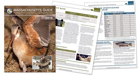 Fishing, hunting and trapping regulations .